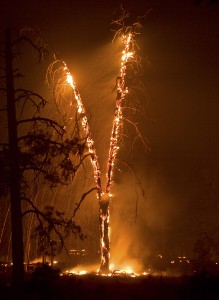Whitewater-Baldy Complex, Gila National Forest, New Mexico, May, 2012. Photo by Kari Greer.