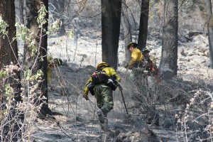 The Missoula crew at the Cape Horn fire mop up some hot spots. Photo by Ben Olson.