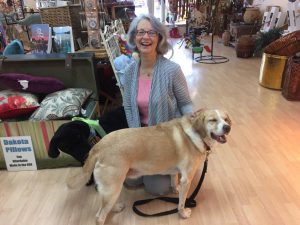 Robin Campbell poses with Drake and Belle, the stuffed shop black lab.