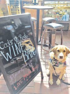 Drake gives his paw of approval to Cedar St. Bistro’s new Wine Bar expansion.