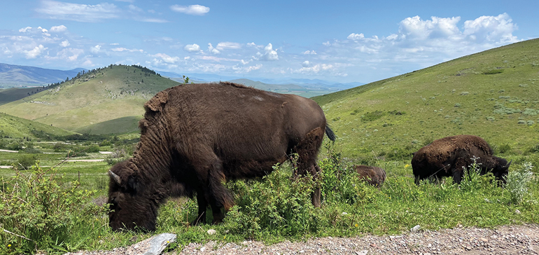 On the range » Sandpoint Reader